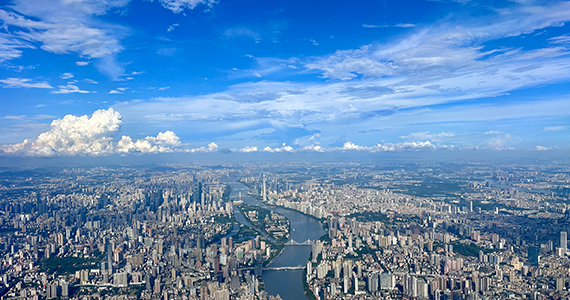 公司注册域名查询