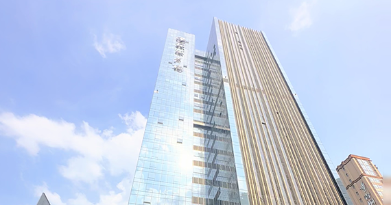 网址域名注册信息查询