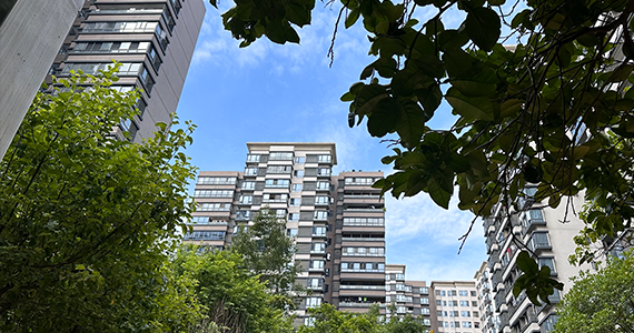 kkss.788域名查询