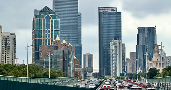 已注册域名查询