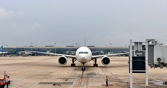 域名查询：深入了解互联网地址的关键步骤