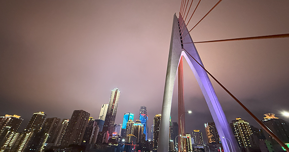 域名查询工具：深入了解互联网身份