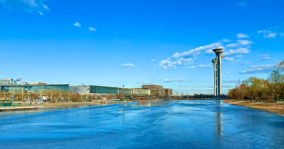 子域名解析查询