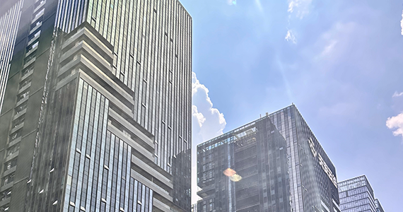 域名注册服务商怎么查询